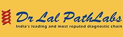 Siddhi Vinayak Relocation Packers and Movers Vadodra